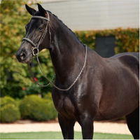 Rembourré Couronne Mono Fantaisie Coudure Chasse Bridle